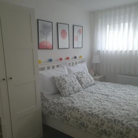 Cosy 35M2 Appartment ザグレブ エクステリア 写真